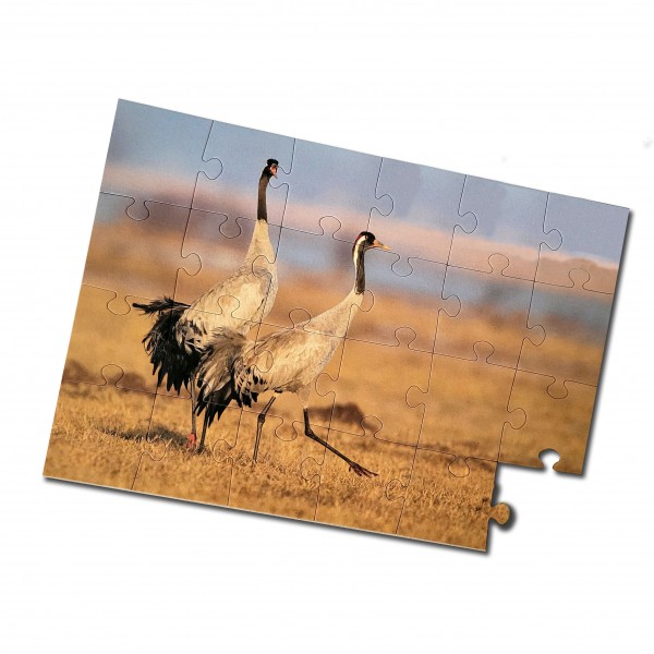 Fotopuzzle 192 Teile 285 x 400 mm